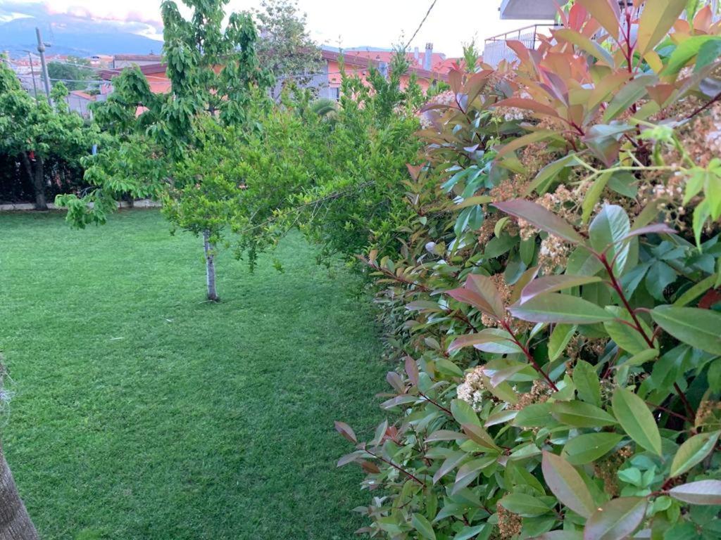 B&B The Garden Pescara Exterior foto